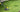 electric grass trimmer