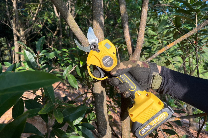 Are Electric Pruning Shears Necessary? Imoum