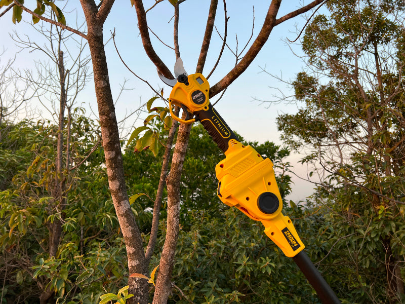 What Is the Difference between a Shears and a Cordless Pruner? Imoum
