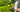 smartsaker mini electric chainsaw