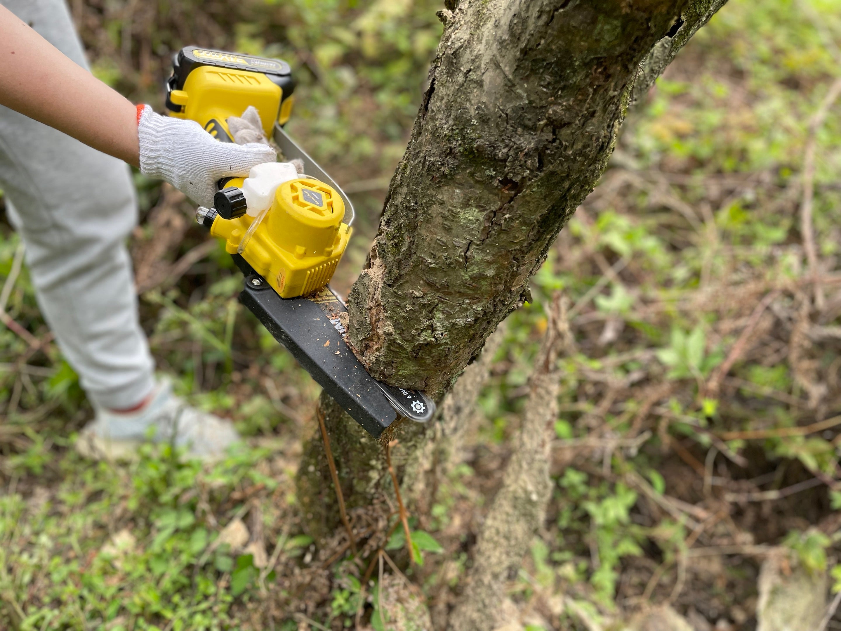 Are Electric Chainsaws Any Good? Imoum