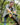 electric mini chainsaw