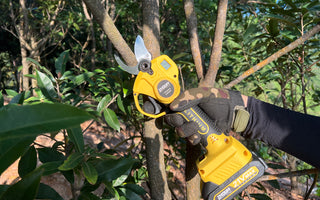 electric pruning shear