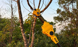 cordless pruner