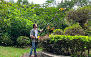 electric weed trimmer