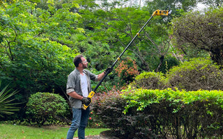 electric pole saw
