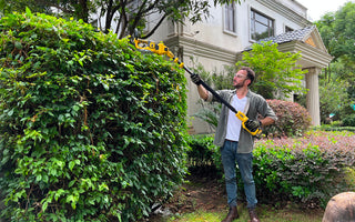 cordless electric pole saw