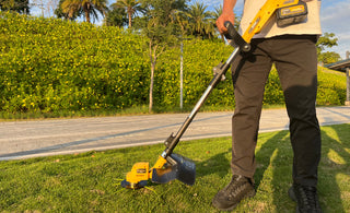 How to Handle Thick Vegetation With a Brush Cutter: Expert Tips