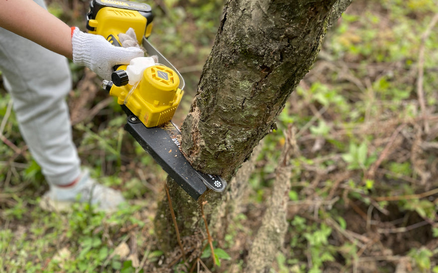 electric mini chainsaw