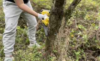 mini chainsaw