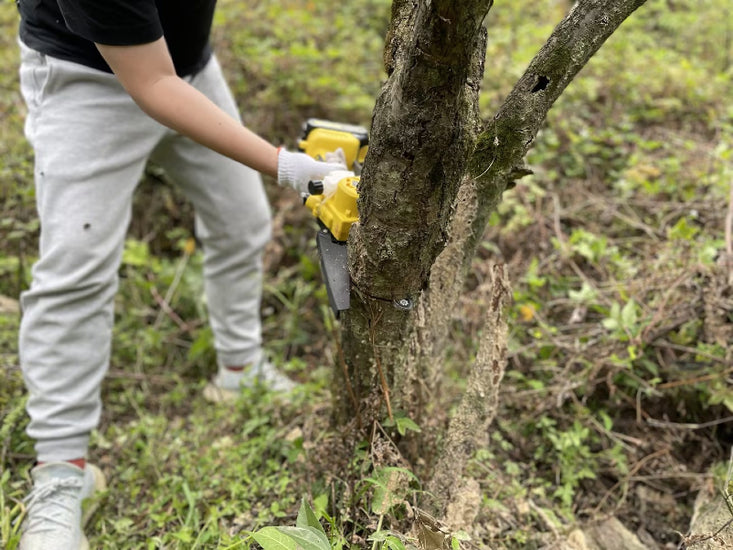 mini chainsaw