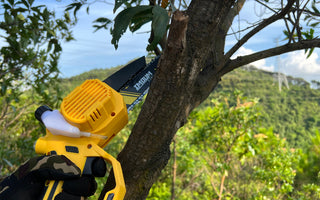 Are Electric Chainsaws as Powerful as Gas Chainsaws?