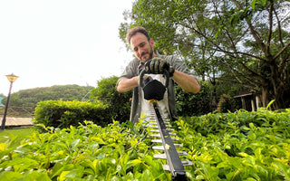 Which is Better, Petrol or Electric Hedge Trimmers?