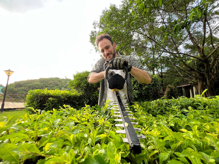 Which is Better, Petrol or Electric Hedge Trimmers?
