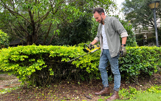 electric hedge trimmer