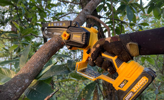 electric pruning saw
