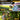 Imoumlive Brushless Electric Hedge Trimmer - Imoum